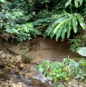 万宁20亩种植地水源充足农场地租金便宜