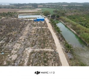 昌江150亩种植地短期出租水电房齐全可随时进场耕种
