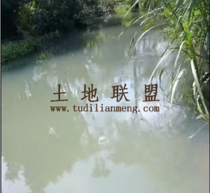 东方130亩种植地水源充足可随时进场耕种