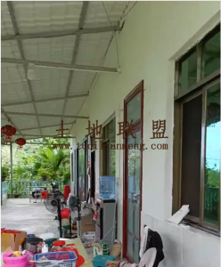 保亭临国道边约7亩槟榔园带房子转让环境清幽舒适