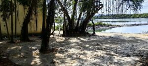 万宁临海边4亩地带一栋两小楼出租环境清幽舒适