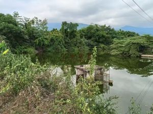 保亭27亩地带10亩鱼塘转让交通便利租金400元/亩/年一年一付