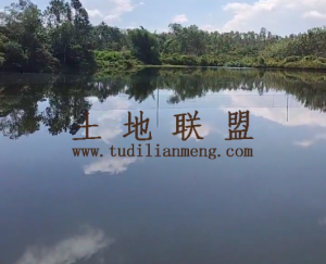 澄迈约20亩鱼塘带空地出租交通便利租金便宜