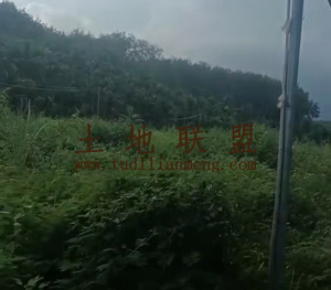 保亭14亩地农场地水电齐全转让费45万