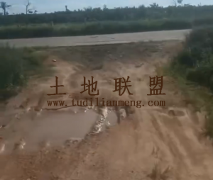 文昌100亩种植地租金500元/亩/年可五年一付水源充足