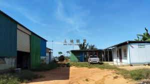 文昌200亩果园转让水电房齐全接手管理就有收益