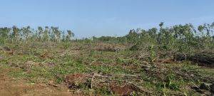 澄迈福山50种植地水电方便可随时进场耕种