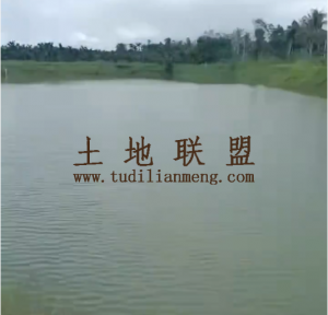 海口美兰区周边13亩鱼塘加4亩空地出租交通便利可随时进场