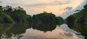 琼海20亩庄园转让环境舒适接手就可经营