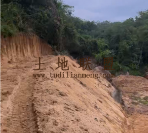 琼中18亩农场种植地水源充足可随时进场耕种