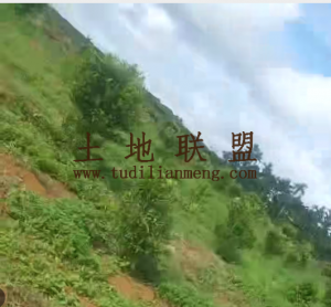 海口琼山区农场6亩种植地转让费6.5万元