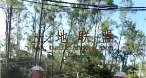 文昌120亩临大路边种植地租金五年一付