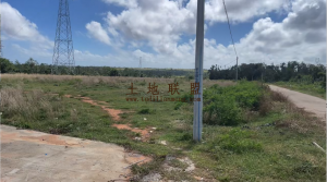 文昌80亩种植地租金五年一付可随时进场耕种