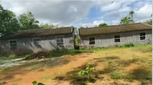 万宁农场7亩地带200平米房子转让生活便利