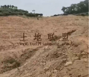 乐东农场30亩种植地交通便利可随时进场耕种