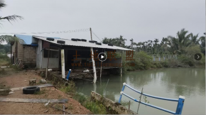 万宁约7亩庄园出租环境清幽舒适租金一年一付