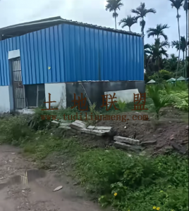 定安27亩地带房子、鱼塘、生活便利租金700元/亩/年