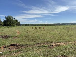 昌江约150亩短期种植出租水电房齐全