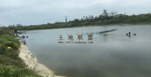 文昌100亩鱼塘水电房齐全租金245元/亩/年一年一付