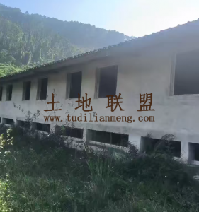 屯昌12亩空地带两排猪圈出租可随时进场水电齐全