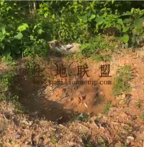 定安约140亩种植地水电房齐全位置优越