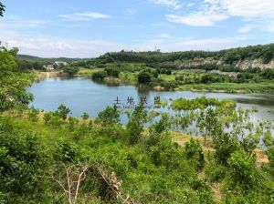 儋州约90亩农场种植地水源充足转让费只要50万