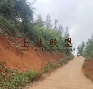 澄迈约200亩种植地可分割出租交通便利可分期付款