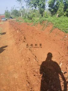 临高120亩种植地租金五年一付交通便利