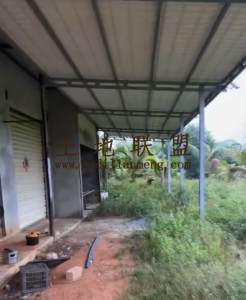 万宁约10亩种植地水电房齐全租金300元/亩/年