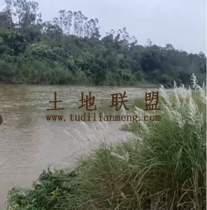 临高约900亩种植地租金600元/亩/年一年一付