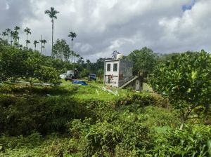 琼海约31亩种植地带一套68平米两层小楼房转让