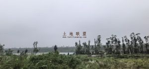 海口秀英区周边100亩短期种植地租金一年一付