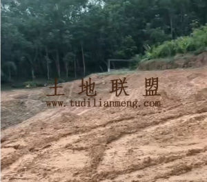 万宁13亩地可随时进场耕种水电齐全交通便利