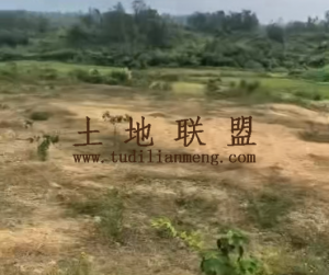 澄迈1500亩种植地可分割租金五年一付