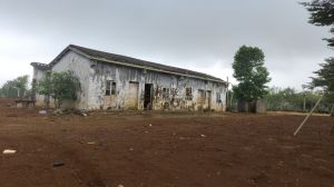 琼山81亩种植地水电房齐全可随时进场