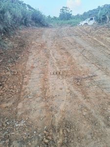 琼中100亩种植地租金150元/亩/年一年一付