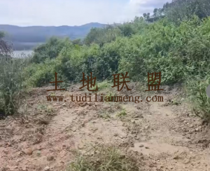 乐东县城周边30亩种植地租金230元/亩/年可随时进场耕种