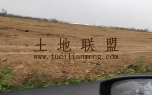 文昌120亩种植地租金十年一付随时进场耕种