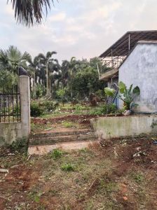 澄迈75亩种植地带房子转让环境清幽舒适