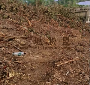 澄迈800亩种植地可分割出租随时进场耕种