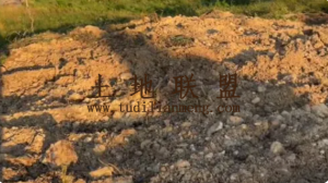 东方50亩种植地可随时进场耕种水电方便