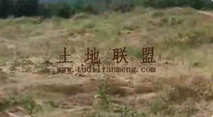 东方临大路边60亩种植地可随时进场耕种水电方便