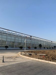 澄迈40亩农业设施用地转让手续齐全租金2500元/亩/年