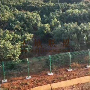 儋州50亩龙眼园水电房齐全交通便利接手管理就有收益