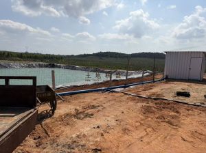 昌江50亩种植地水电房齐全租金五年一付