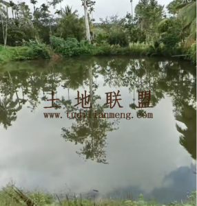 保亭20亩地带80平米生活住房交通便利