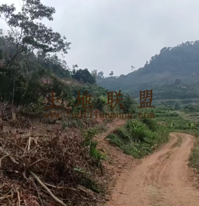 琼中农场40亩种植地租金50元/亩/年可随时进场耕种