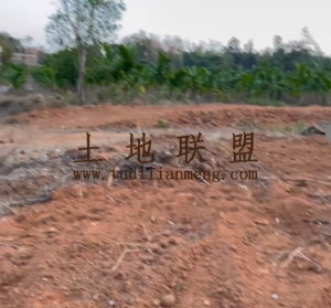 儋州约34亩种植地租金可分期随时进场耕种