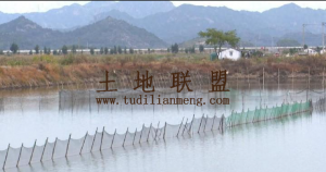 乐东约17亩海水养殖塘出租可随时进场养殖