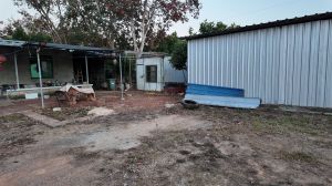 保亭约12亩榴莲园带150平米房子转让接手管理即可有收益